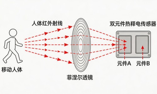 怀孕期间可以吃银耳吗有影响吗-怀孕期间可以吃银耳吗网- 孕期可以吃银耳汤吗知识,分享孕期可以吃银耳羹吗